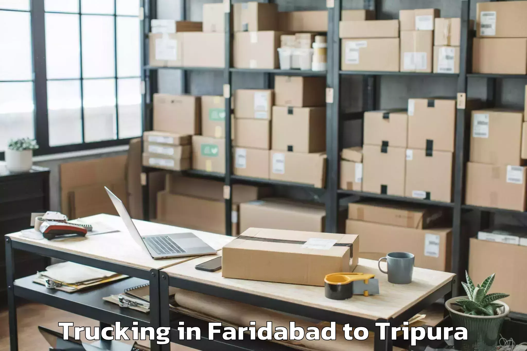 Expert Faridabad to Iiit Agartala Trucking